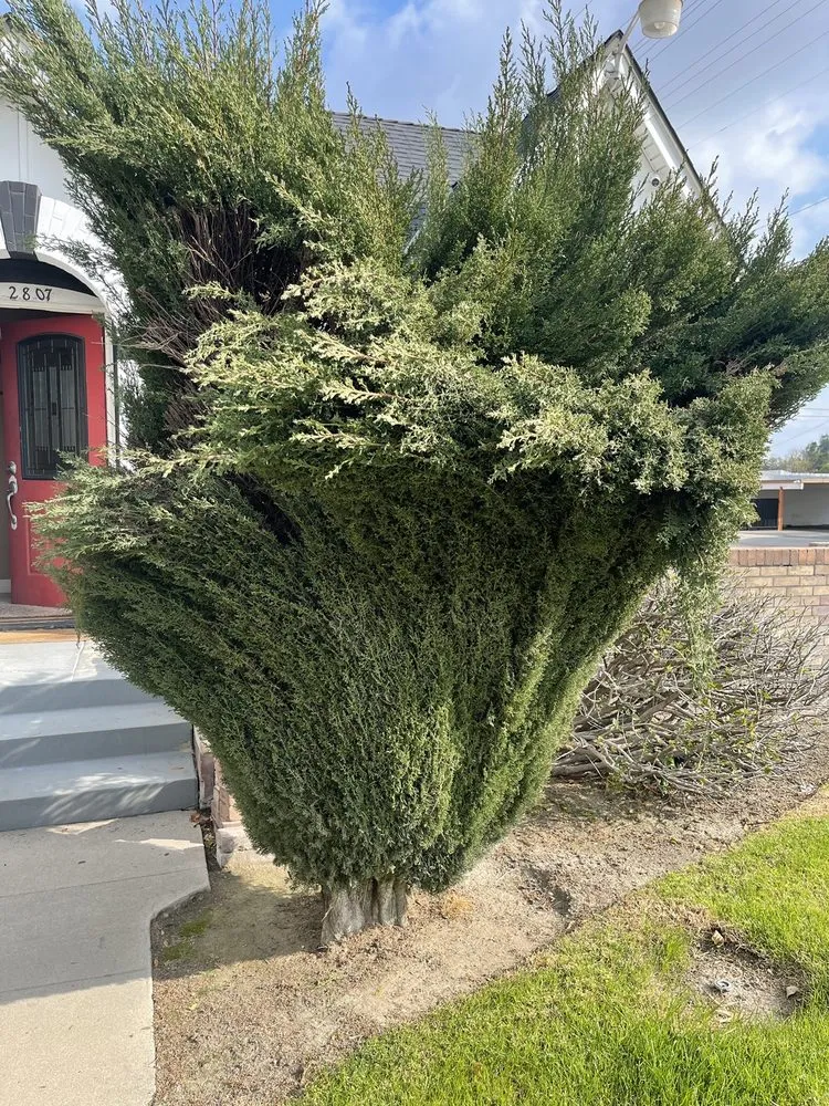 Professional landscape design with custom design across San Bernardino, CA - Romero Landscaping