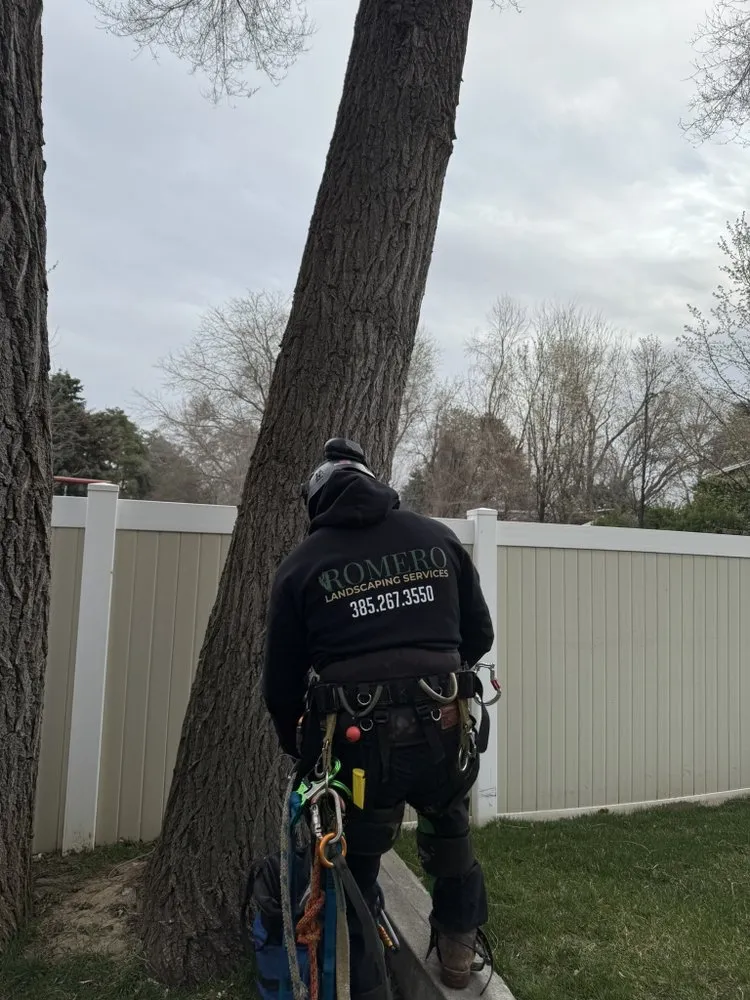 Expert lawn care service for homes across West Valley City, UT - Romero Landscaping Services