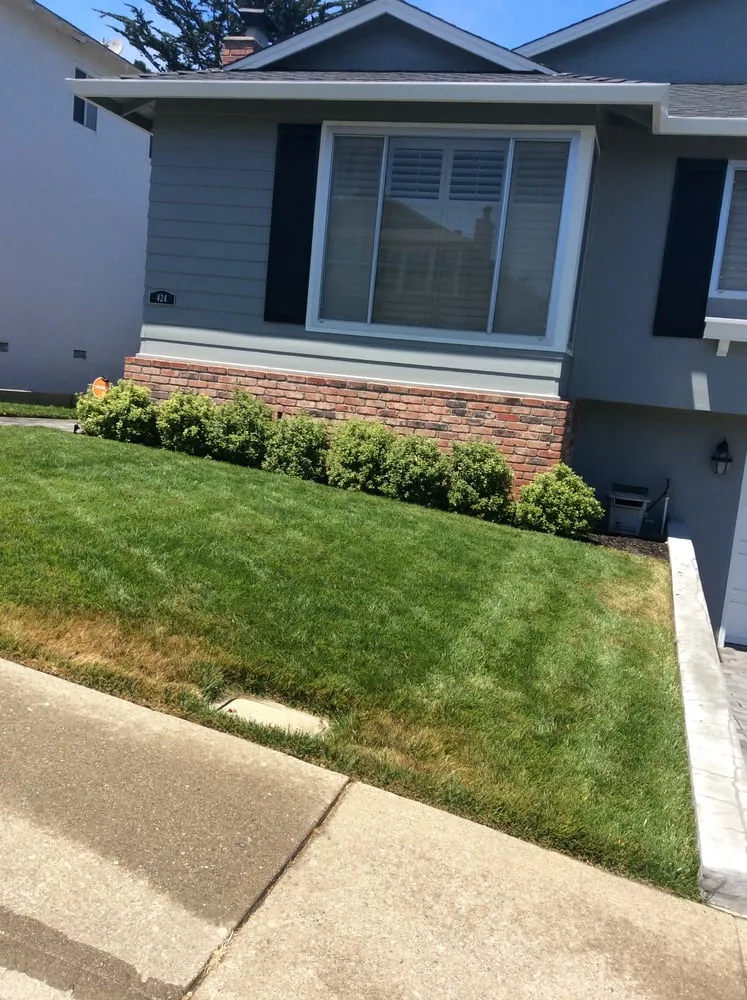 Custom residential landscaping for beautiful yards in South San Francisco, CA by Romero Landscaping