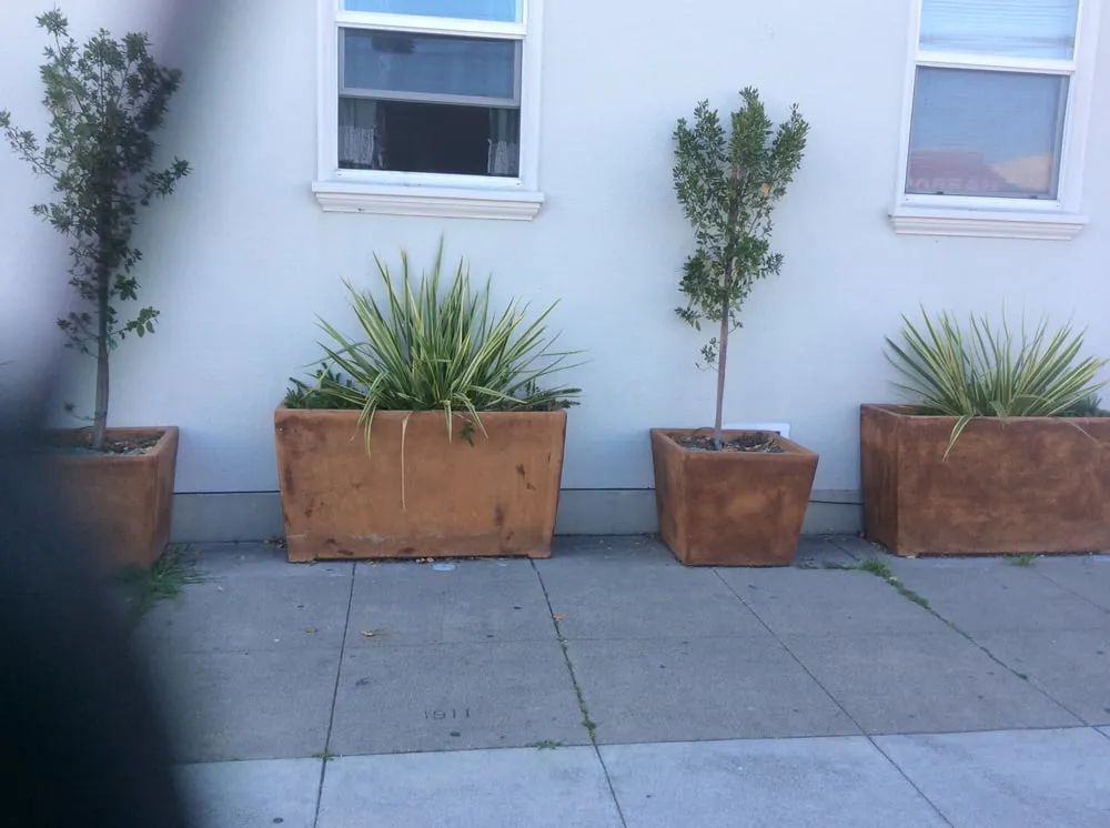Reliable yard maintenance for residential properties in South San Francisco, CA by Romero Landscaping