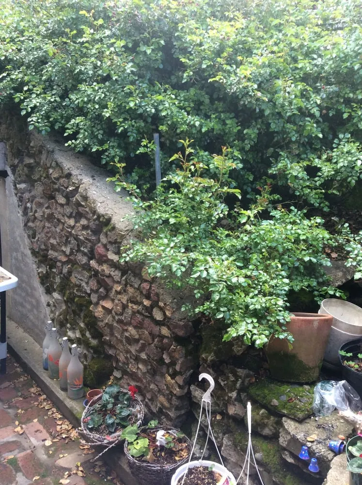 Affordable outdoor landscaping experts serving South San Francisco, CA - Romero Landscaping