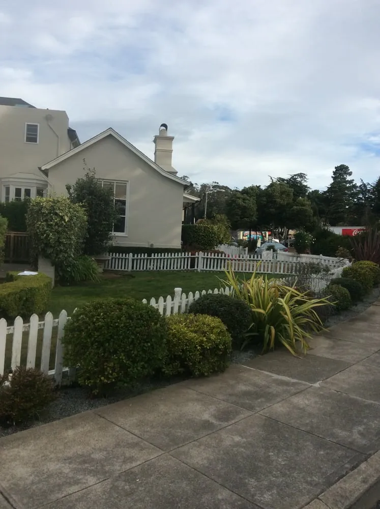 Affordable yard cleanup service for residential properties in South San Francisco, CA by Romero Landscaping