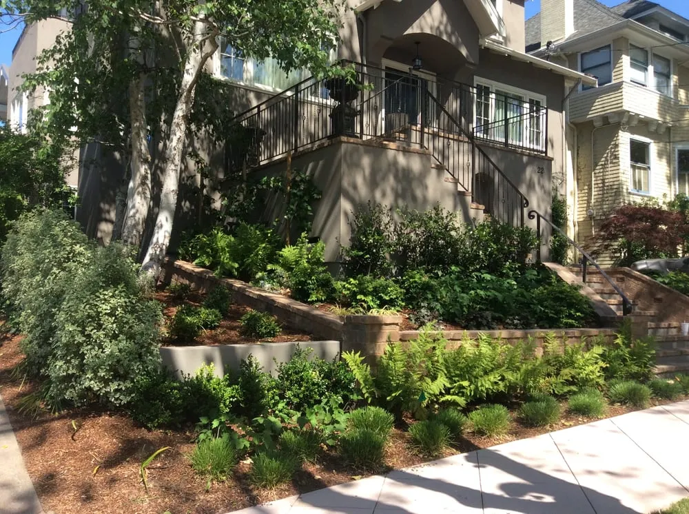 Affordable landscape design experts serving South San Francisco, CA - Romero Landscaping