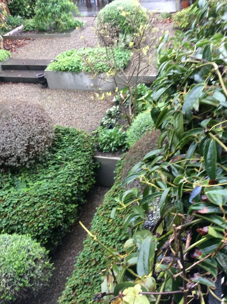 Trusted landscape design in South San Francisco, CA - Romero Landscaping