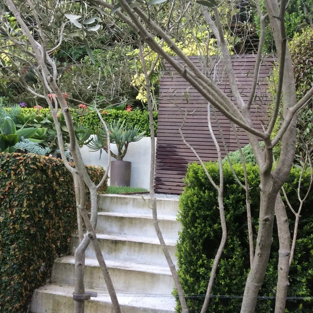 Custom lawn mowing service in South San Francisco, CA by Romero Landscaping