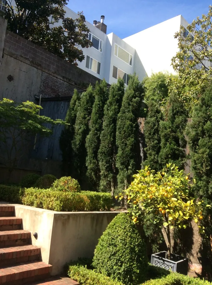 Custom landscaping services for outdoor upgrades in South San Francisco, CA by Romero Landscaping