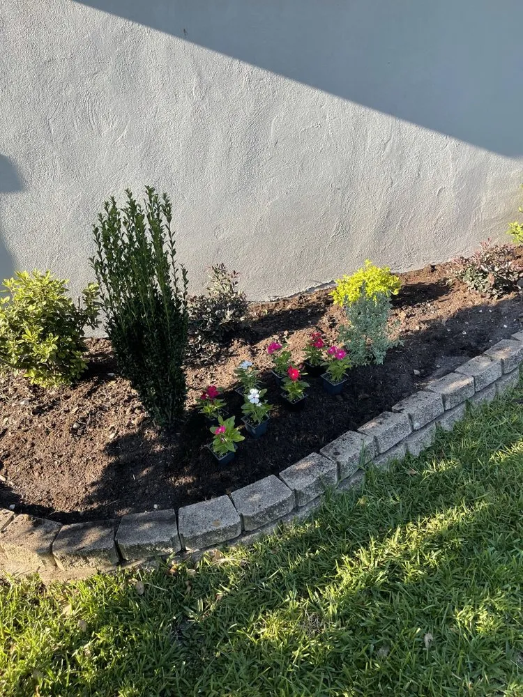 Reliable residential landscaping in Houston, TX - Romero Lanscaper