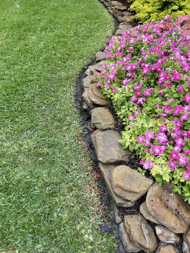 Affordable landscaping services for homes in Houston, TX by Romero Lanscaper