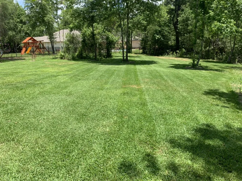 Professional garden landscaping with custom design across Houston, TX - Romero Lanscaper