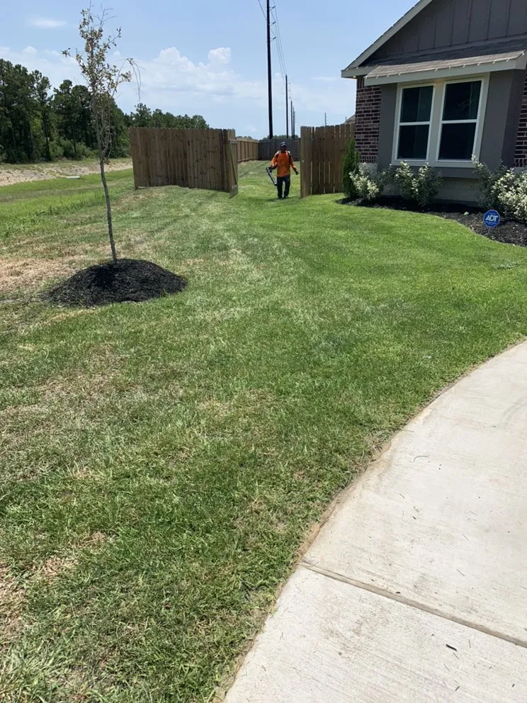 Professional garden landscaping in Houston, TX by Romero Lanscaper