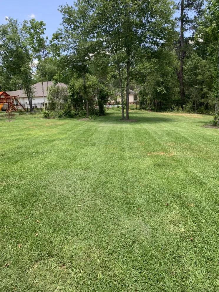 Reliable garden landscaping in Houston, TX - Romero Lanscaper