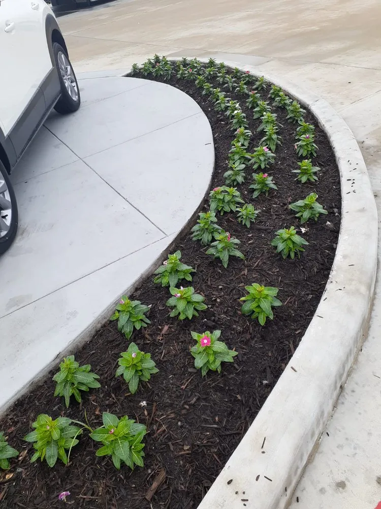 Top-rated yard maintenance experts serving Houston, TX - Romero Lanscaper