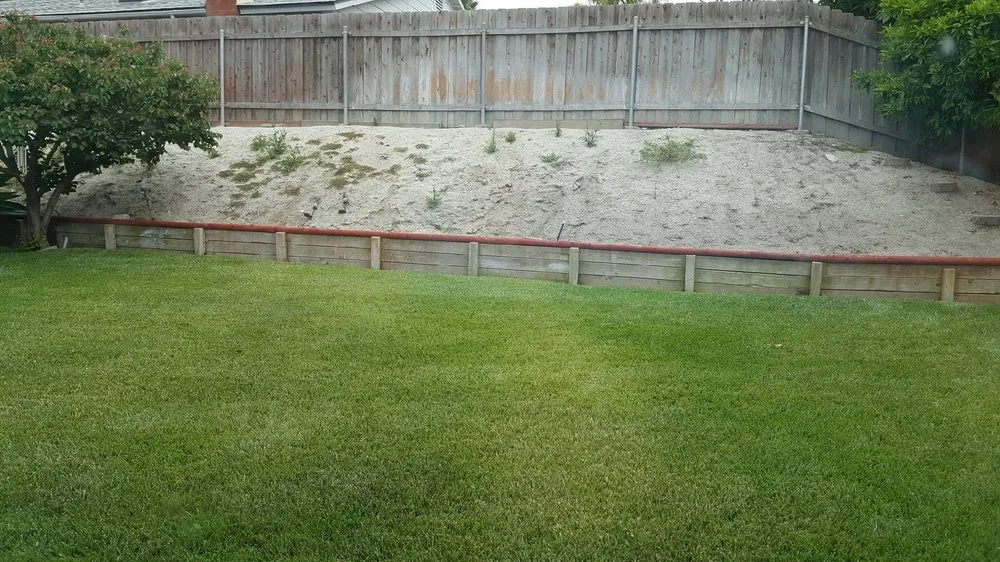 Trusted landscape design for beautiful yards across Oceanside, CA - Romero Lawn Care and Garden