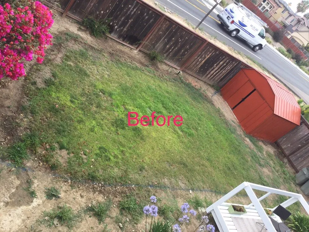 Top-rated yard maintenance near you across Oceanside, CA - Romero Lawn Care and Garden