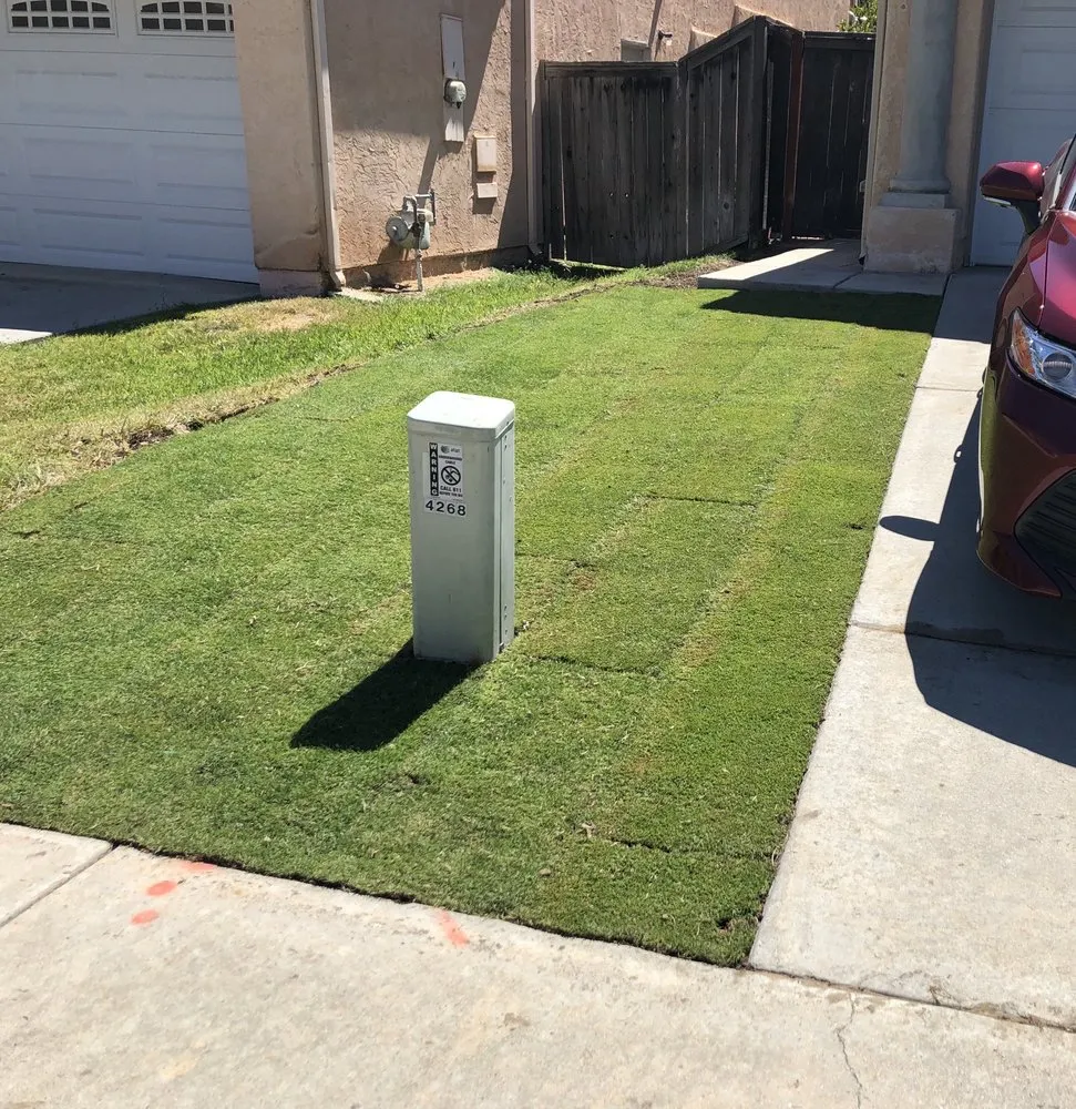 Local landscape design in Oceanside, CA - Romero Lawn Care and Garden