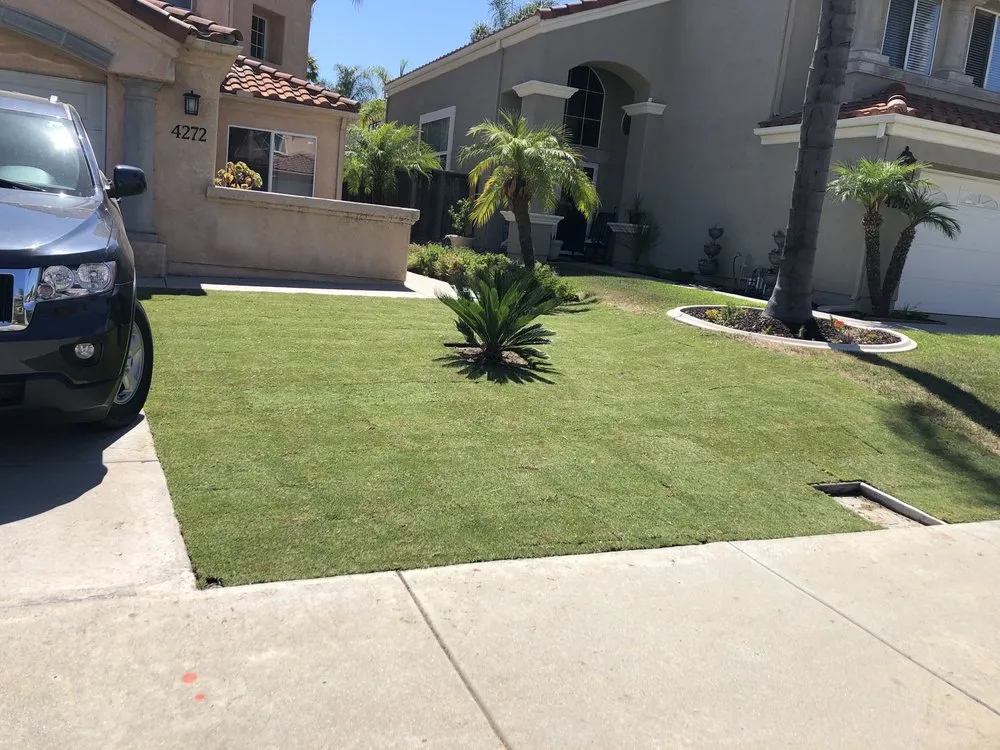 Custom landscape design for beautiful yards across Oceanside, CA - Romero Lawn Care and Garden