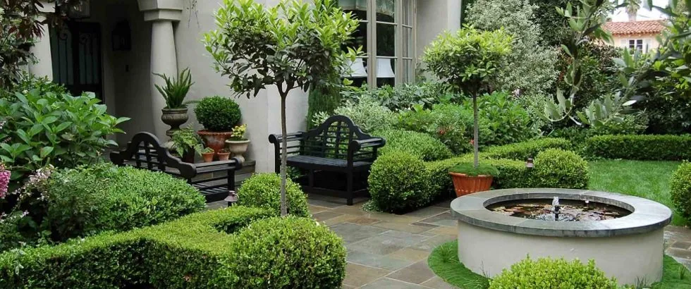 Professional yard cleanup service for homes across Oceanside, CA - Romero Lawn Care and Garden