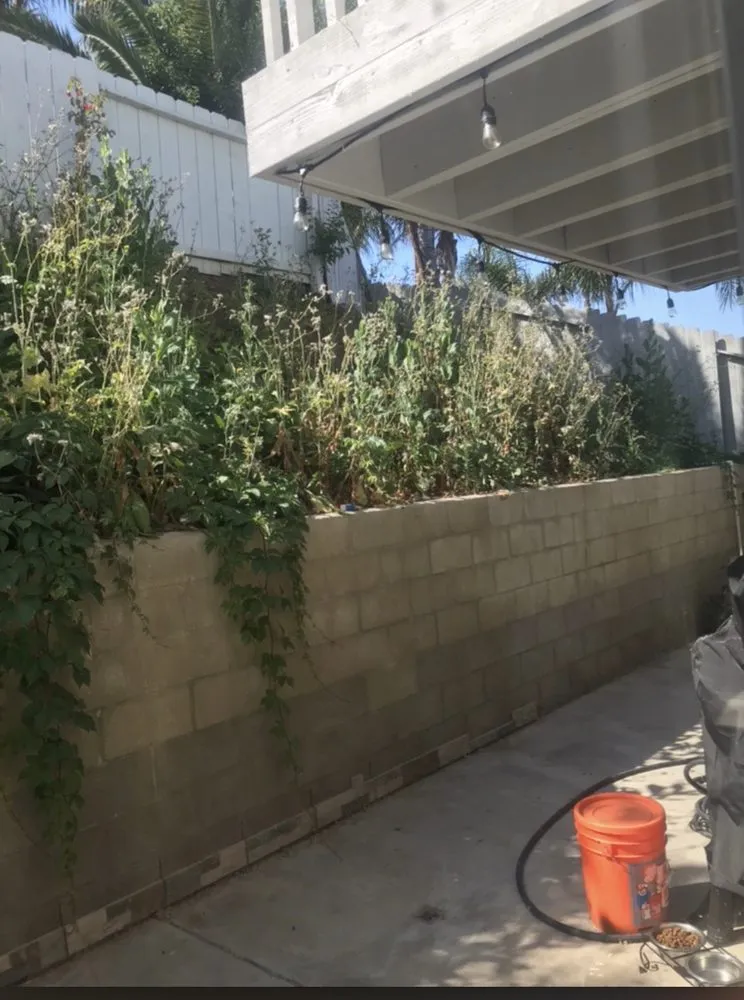 Expert yard maintenance experts serving Oceanside, CA - Romero Lawn Care and Garden