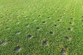 Local outdoor landscaping in Oceanside, CA by Romero Lawn Care and Garden