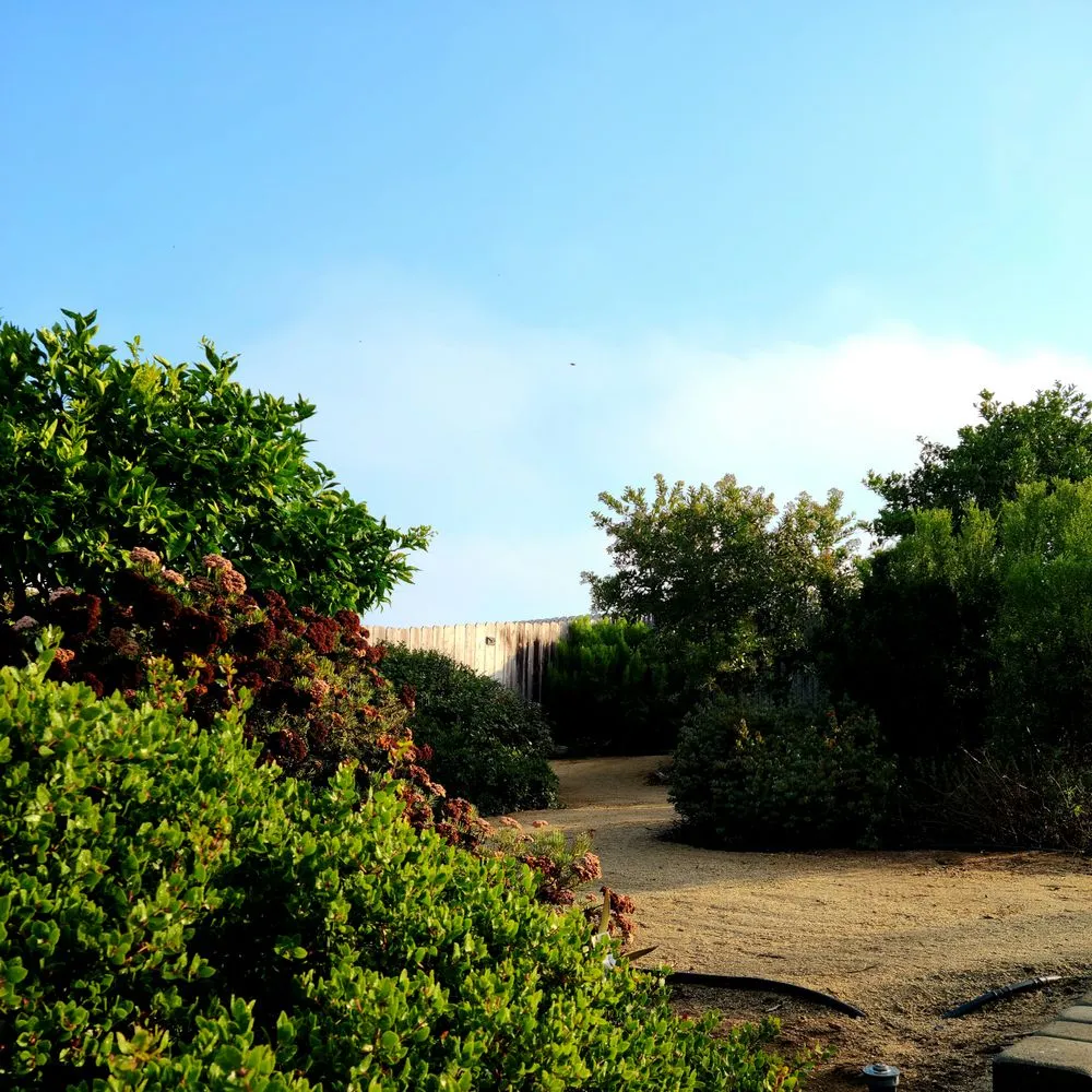 Local residential landscaping with custom design across Oceanside, CA - Romero Lawn Care and Garden