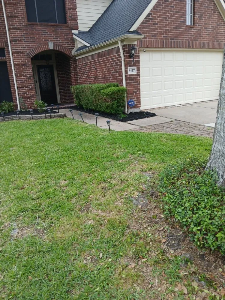 Reliable lawn mowing service in Pearland, TX by Romero