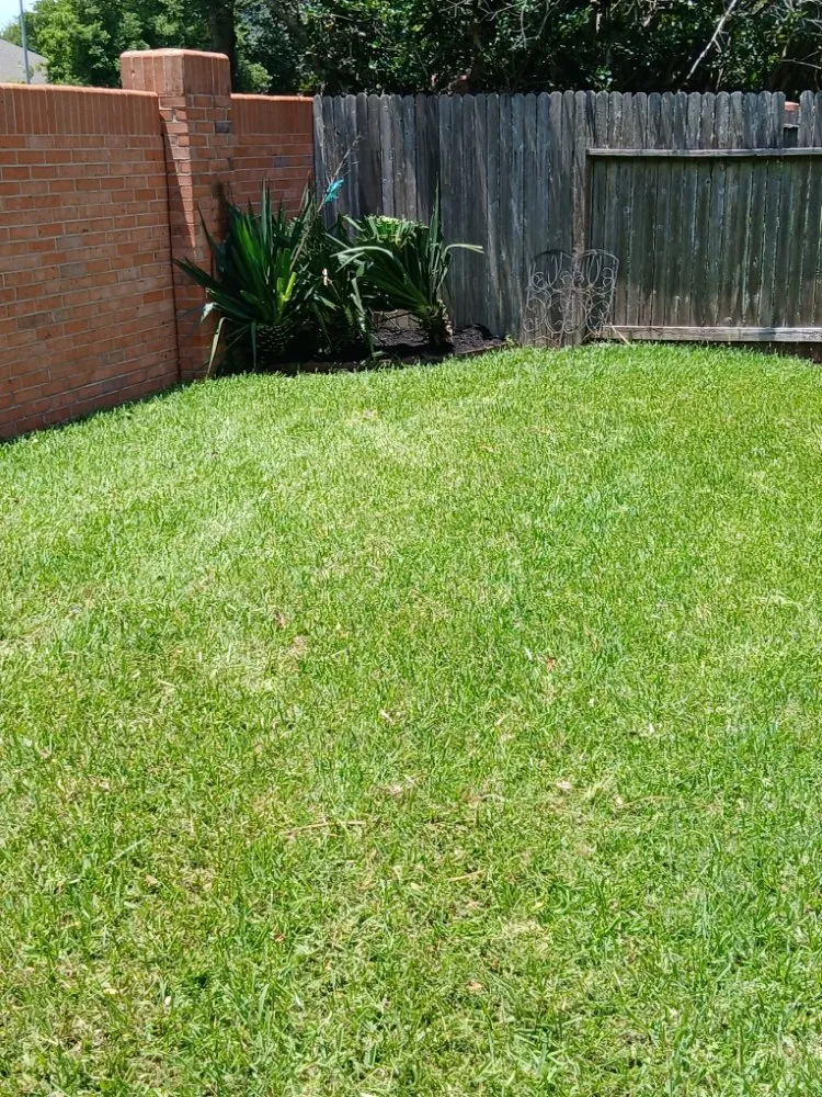 Professional yard maintenance experts serving Pearland, TX - Romero