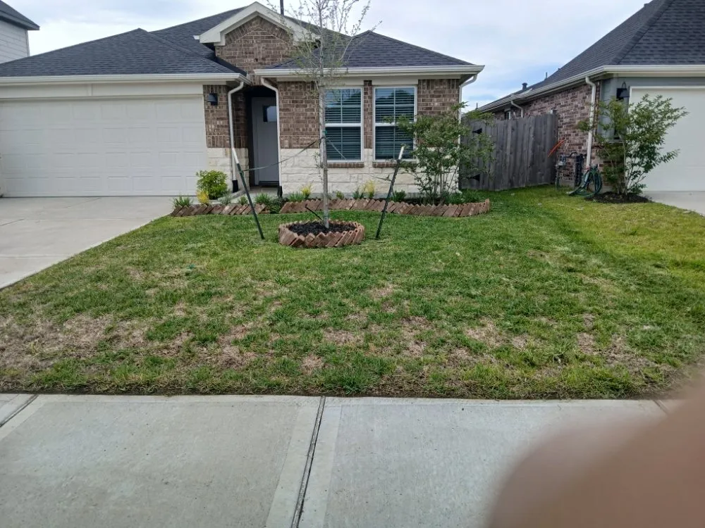 Expert landscape design for homes in Pearland, TX by Romero