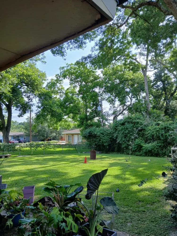 Professional lawn mowing service with custom design in Pearland, TX by Romero