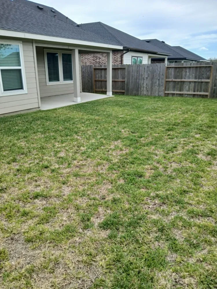 Custom residential landscaping experts serving Pearland, TX - Romero