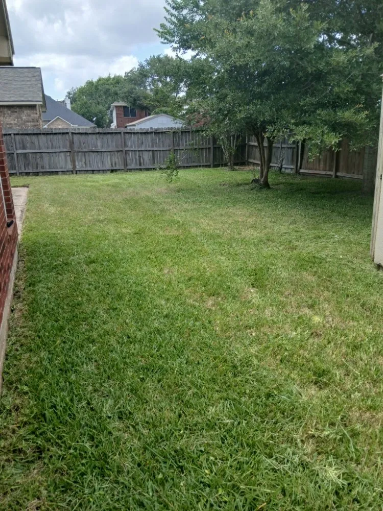 Reliable landscape design experts serving Pearland, TX - Romero