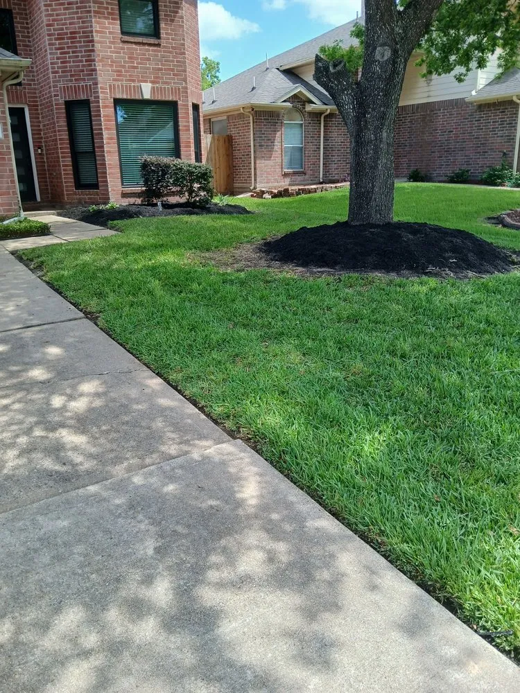 Reliable lawn care service experts serving Pearland, TX - Romero