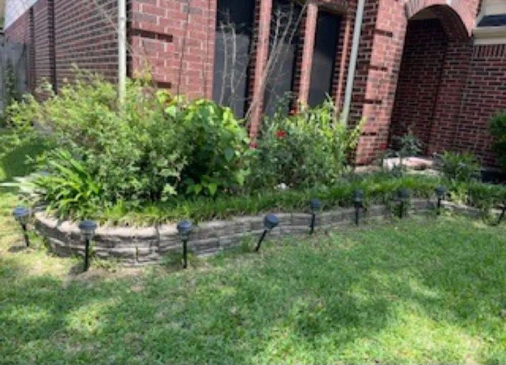 Local yard maintenance experts serving Pearland, TX - Romero