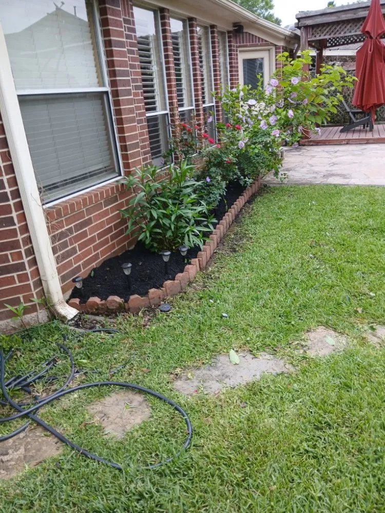 Top-rated lawn mowing service for beautiful yards in Pearland, TX by Romero