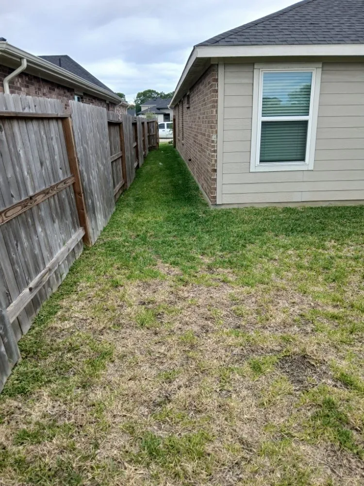 Affordable yard cleanup service in Pearland, TX by Romero