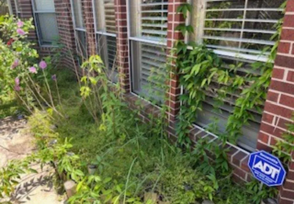 Reliable lawn mowing service in Pearland, TX - Romero