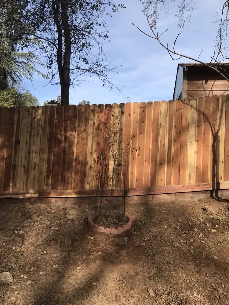 Local lawn mowing service in Placerville, CA by Romero Pools