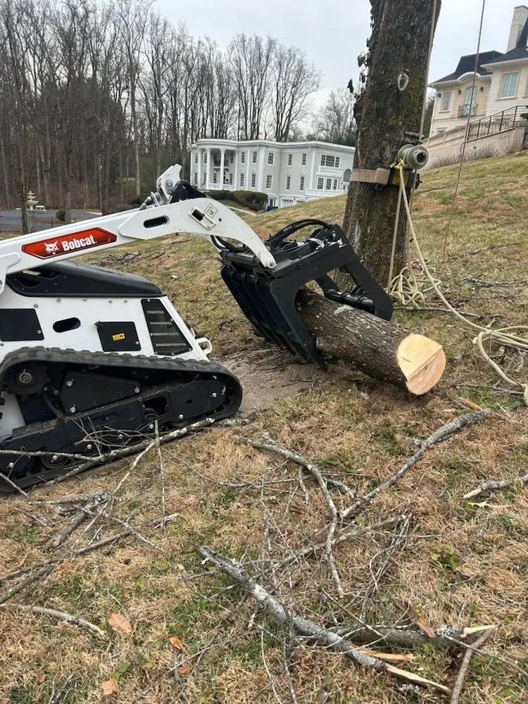 Affordable garden landscaping for residential properties in Community, VA by Romero Tree Services