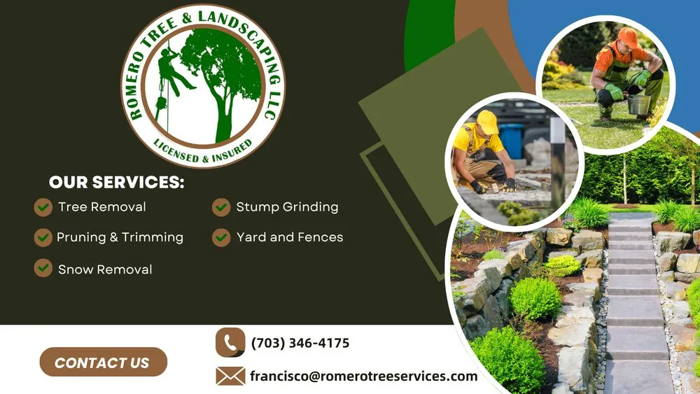 Affordable landscape design in Community, VA by Romero Tree Services