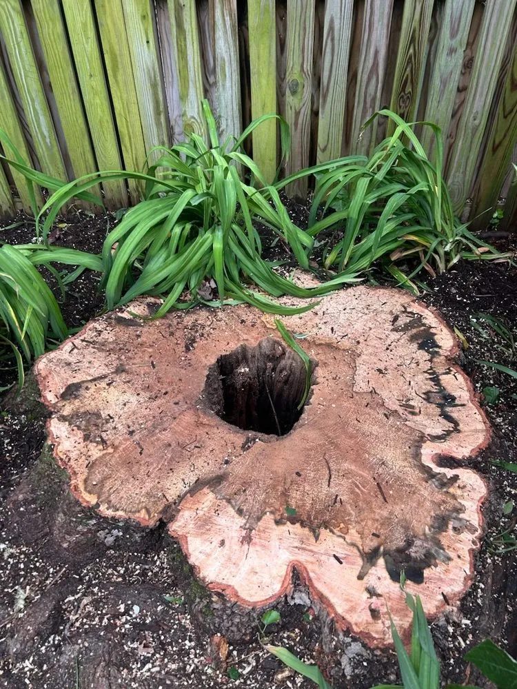 Local landscape installation in Community, VA by Romero Tree Services