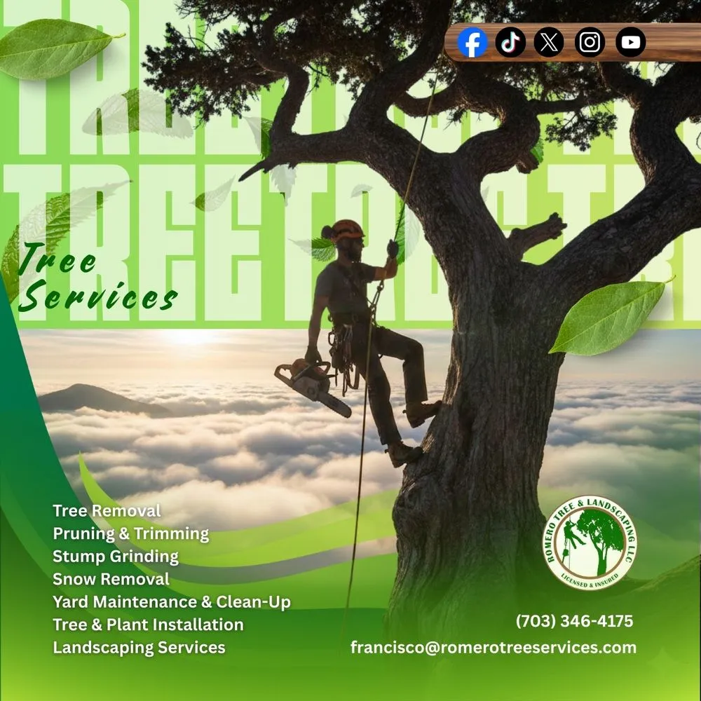Custom landscape design for year-round maintenance across Community, VA - Romero Tree Services