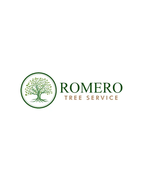 Custom landscape design for beautiful yards in Wichita Falls, TX by Romero Tree Services