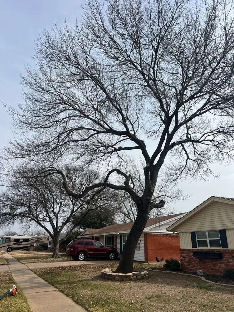 Trusted landscaping services for outdoor upgrades across Wichita Falls, TX - Romero Tree Services