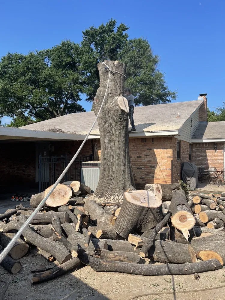 Reliable landscaping services for outdoor upgrades across Wichita Falls, TX - Romero Tree Services