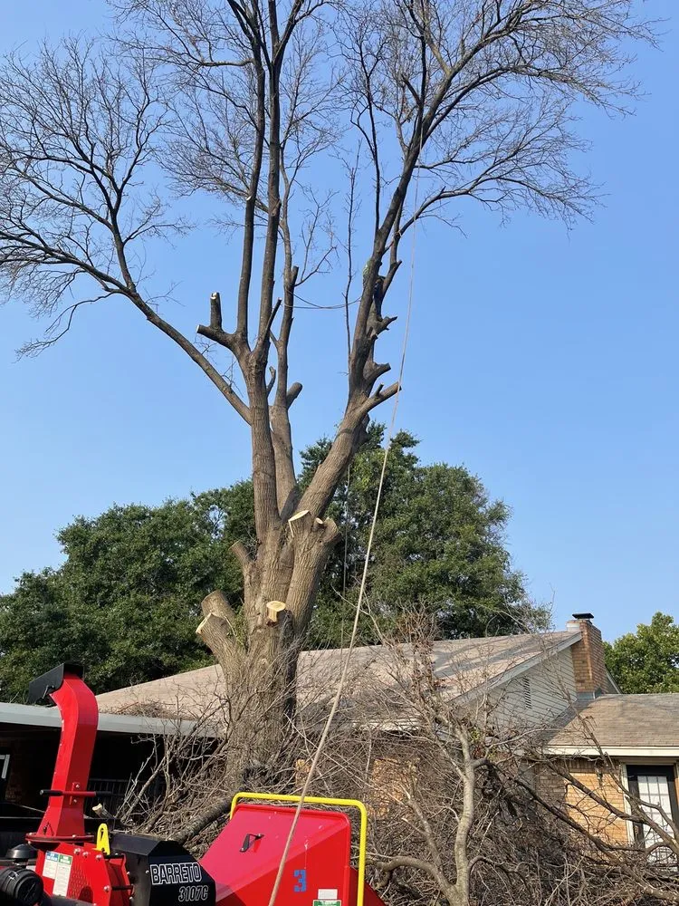 Top-rated landscaping services experts serving Wichita Falls, TX - Romero Tree Services