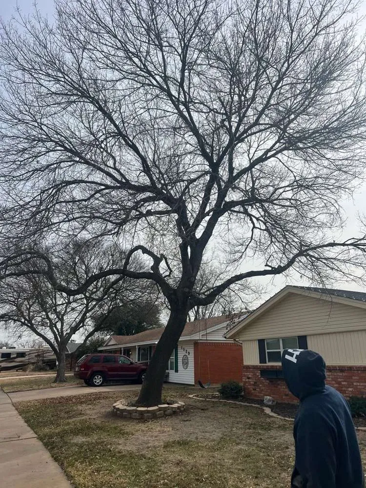 Reliable lawn mowing service experts serving Wichita Falls, TX - Romero Tree Services