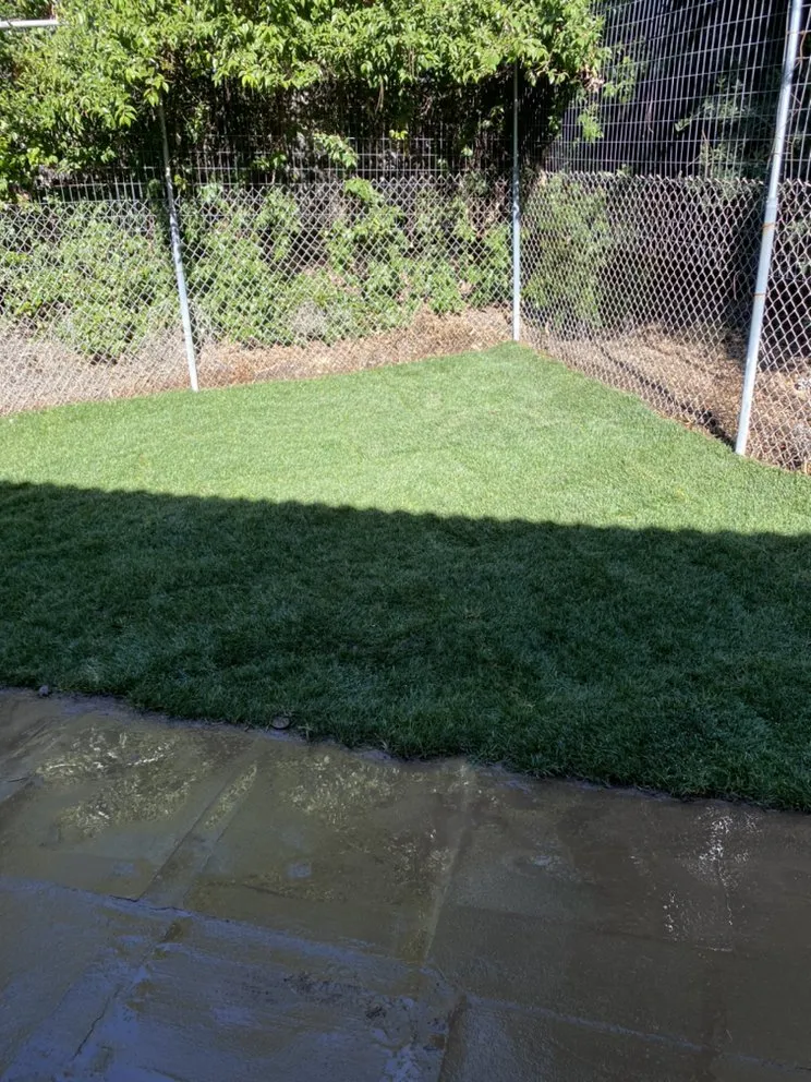 Top-rated garden landscaping for year-round maintenance across Chino Hills, CA - Romero trees and landscape