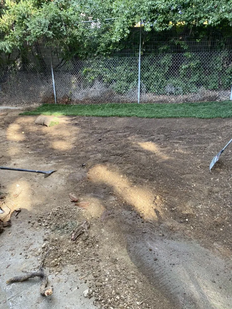 Affordable lawn mowing service for beautiful yards in Chino Hills, CA by Romero trees and landscape