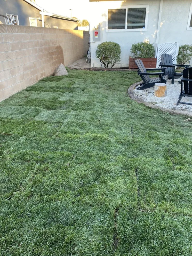 Top-rated landscape installation with custom design in Chino Hills, CA by Romero trees and landscape