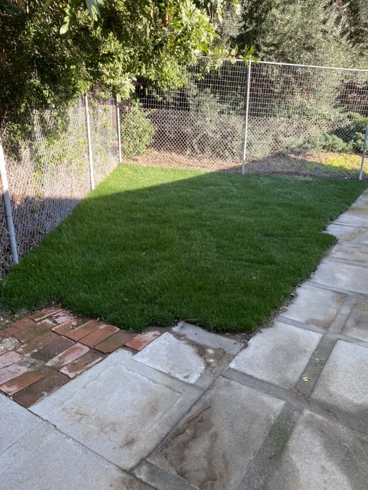 Reliable landscape installation in Chino Hills, CA by Romero trees and landscape