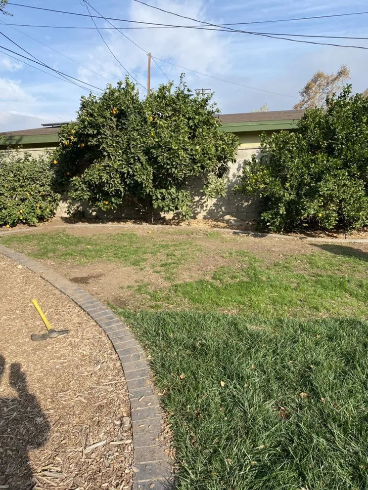 Reliable garden landscaping experts serving Chino Hills, CA - Romero trees and landscape